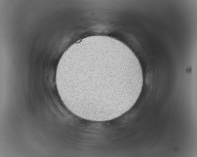 X0000112981396200910081059