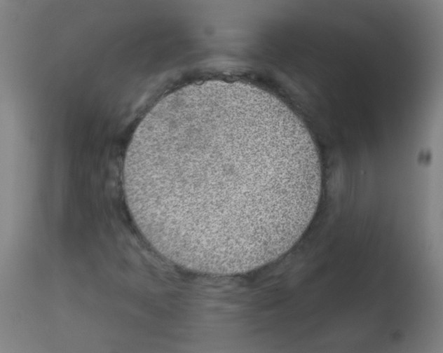 X0000112981397200910081059