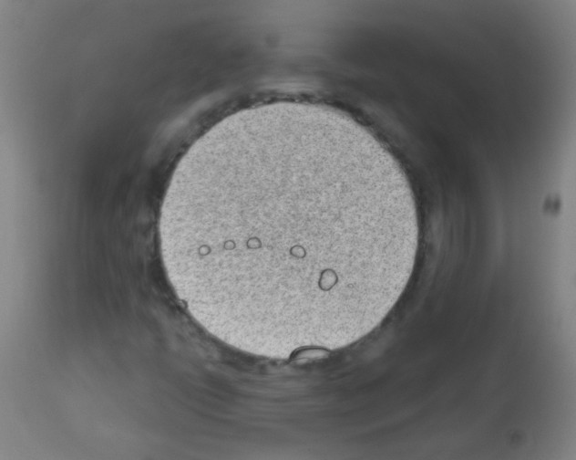X0000112981398200910081059