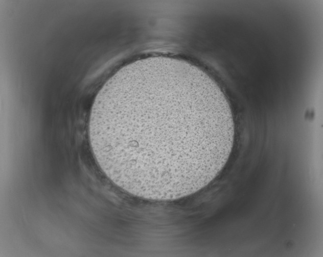X0000112981399200910081059