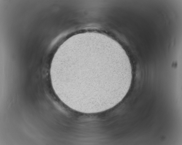 X0000112981400200910081059