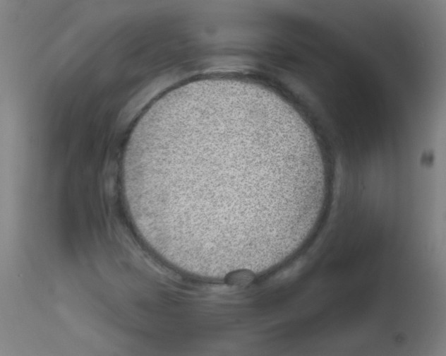 X0000112981401200910081059