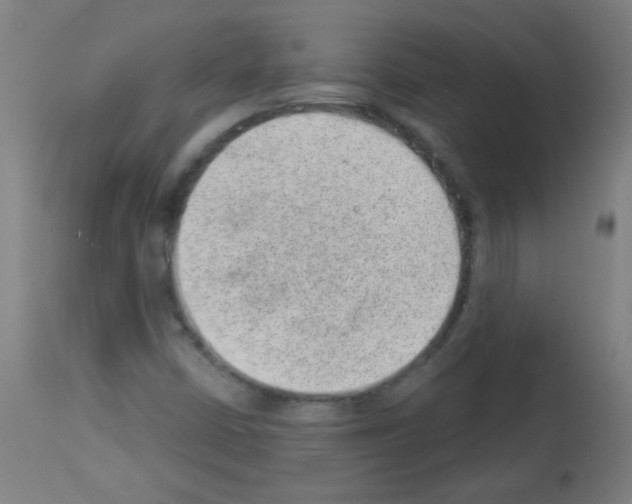X0000112981402200910081059