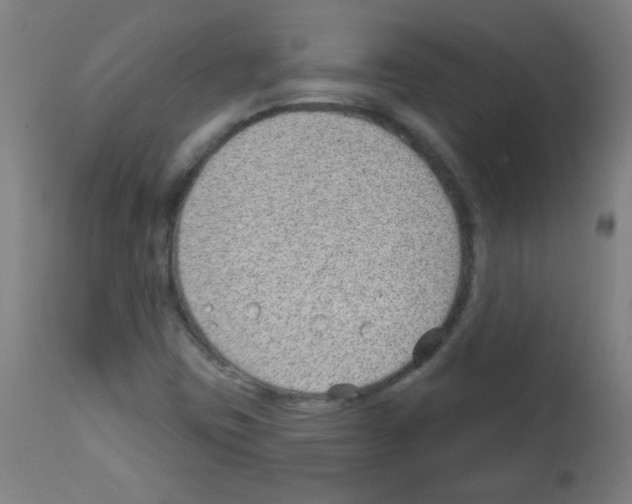 X0000112981403200910081059