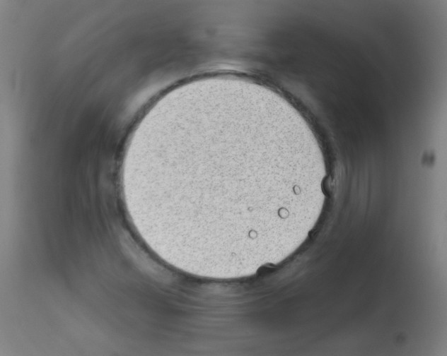X0000112981404200910081059