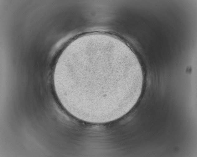 X0000112981406200910081059