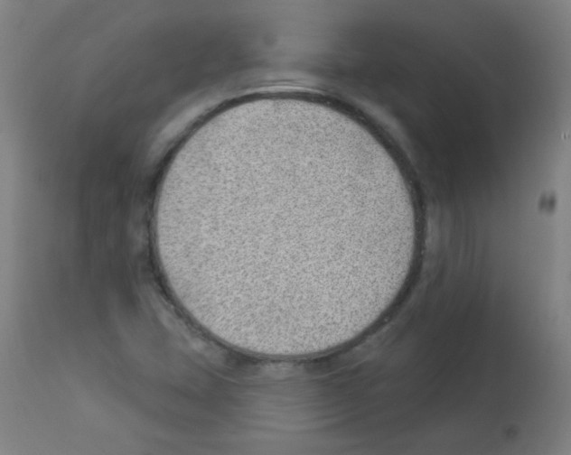 X0000112981407200910081059