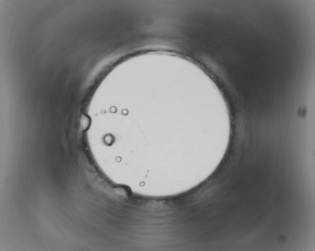 X0000112981408200910081059