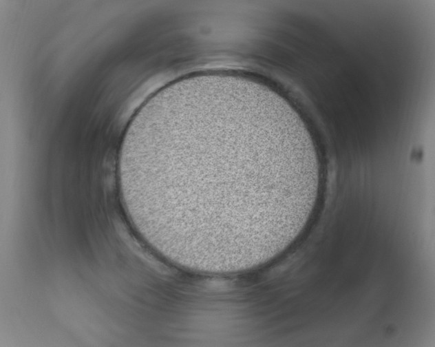 X0000112981409200910081059