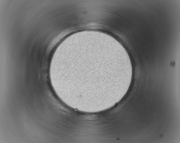 X0000112981410200910081059