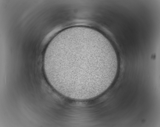 X0000112981411200910081059