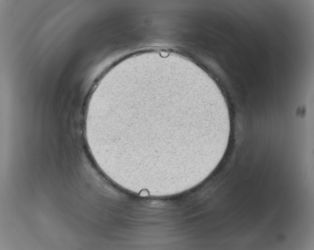 X0000112981412200910081059
