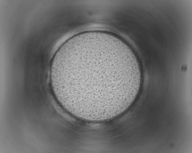 X0000112981413200910081059