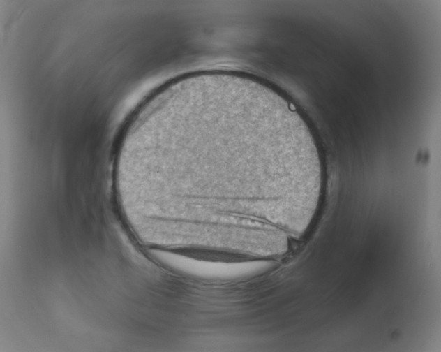X0000112981414200910081059