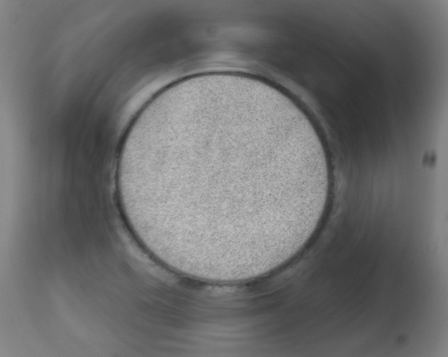 X0000112981415200910081059