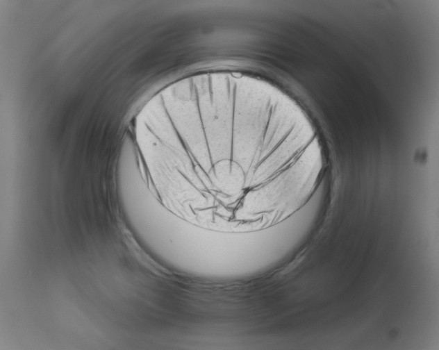 X0000112981417200910081059