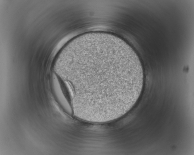 X0000112981418200910081059