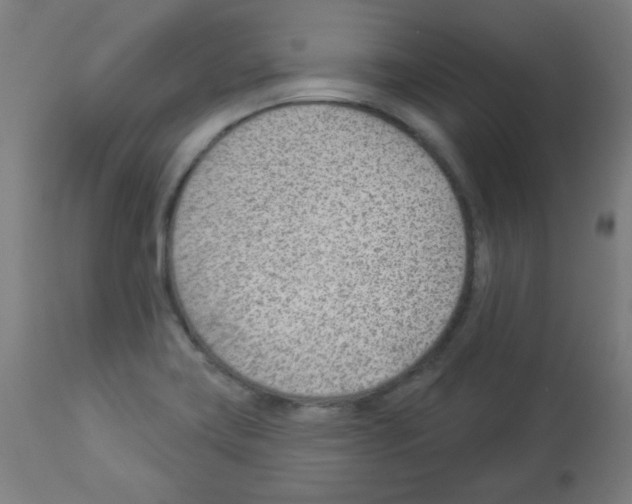 X0000112981419200910081059