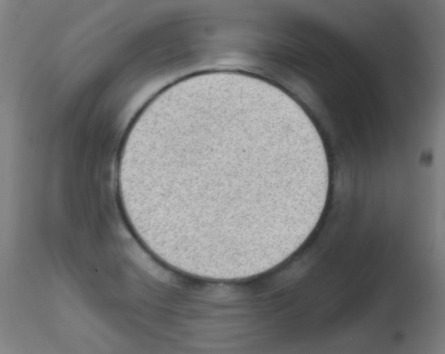 X0000112981420200910081059