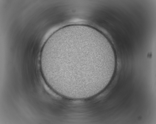 X0000112981421200910081059
