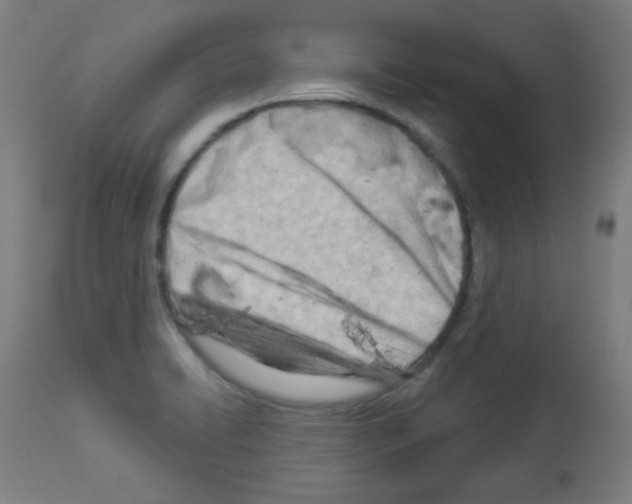 X0000112981422200910081059
