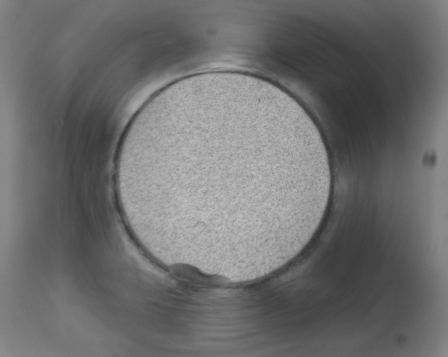 X0000112981423200910081059