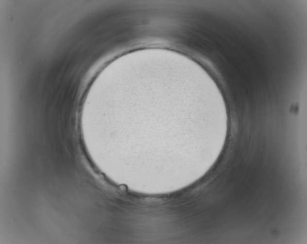 X0000112981424200910081059