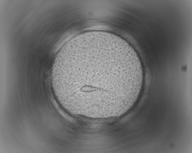 X0000112981425200910081059