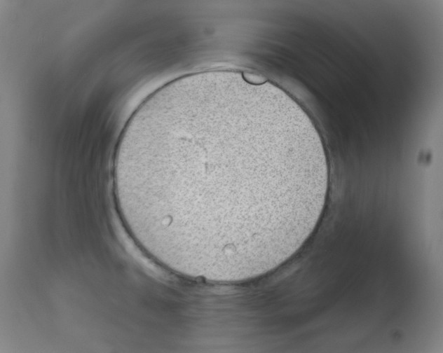 X0000112981431200910081059