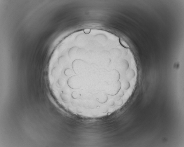 X0000112981432200910081059