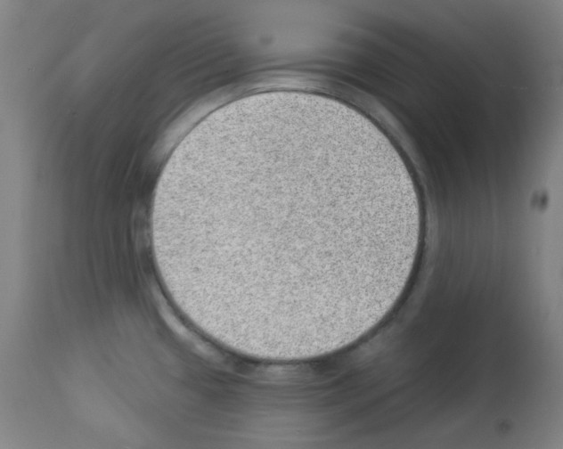 X0000112981433200910081059