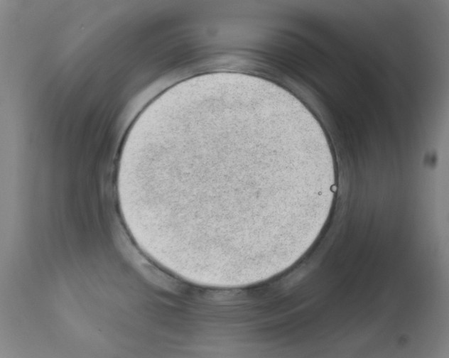 X0000112981434200910081059