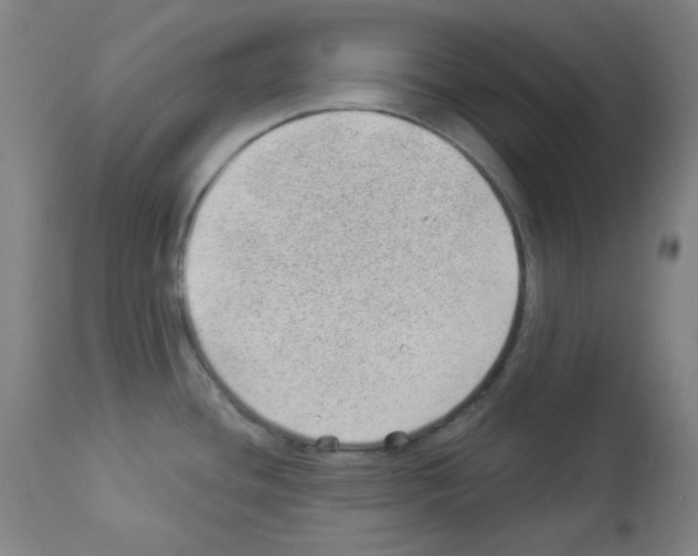 X0000112981436200910081059
