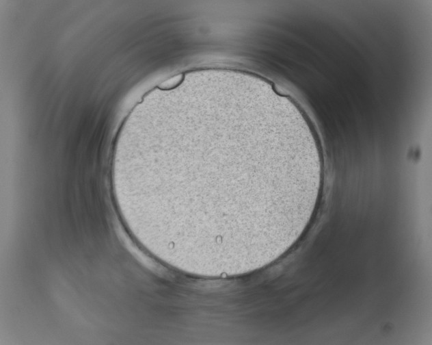 X0000112981437200910081059