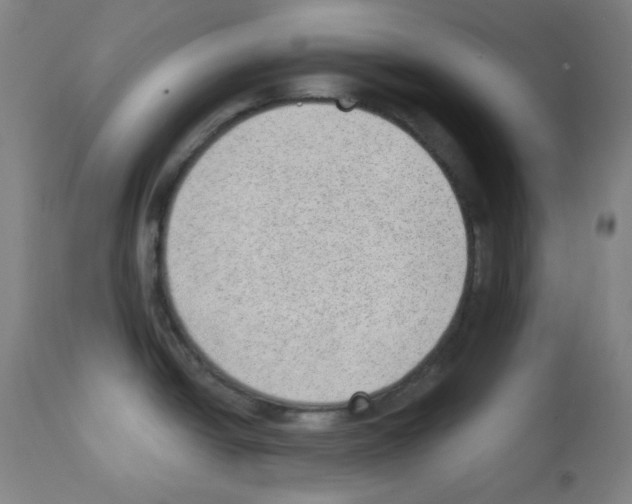 X0000112981438200910081059