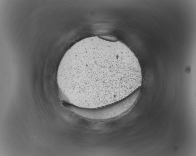 X0000112981441200910081059
