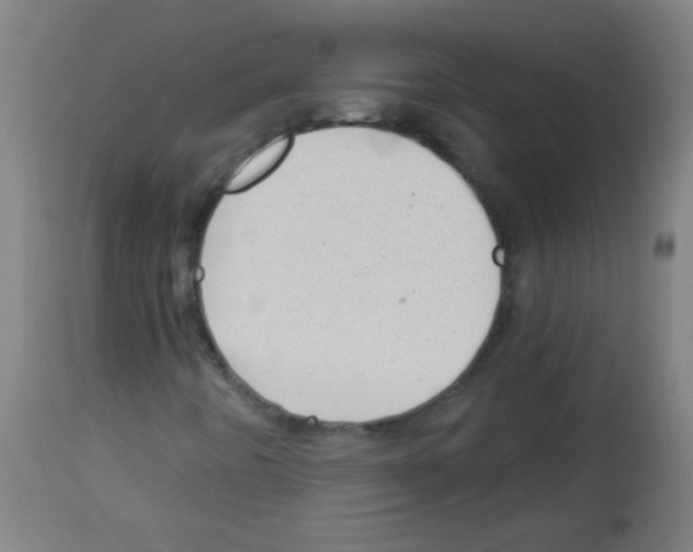 X0000112981442200910081059
