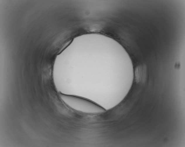 X0000112981443200910081059