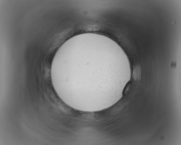 X0000112981444200910081059