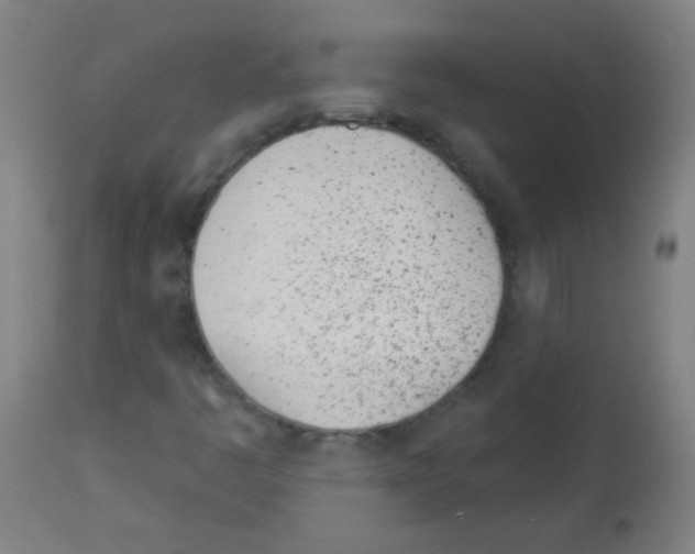 X0000112981445200910081059