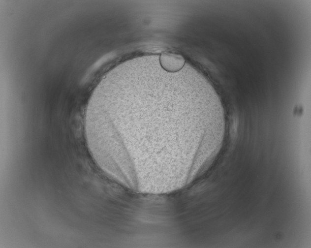 X0000112981446200910081059