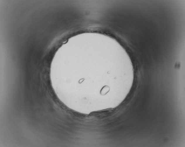 X0000112981447200910081059