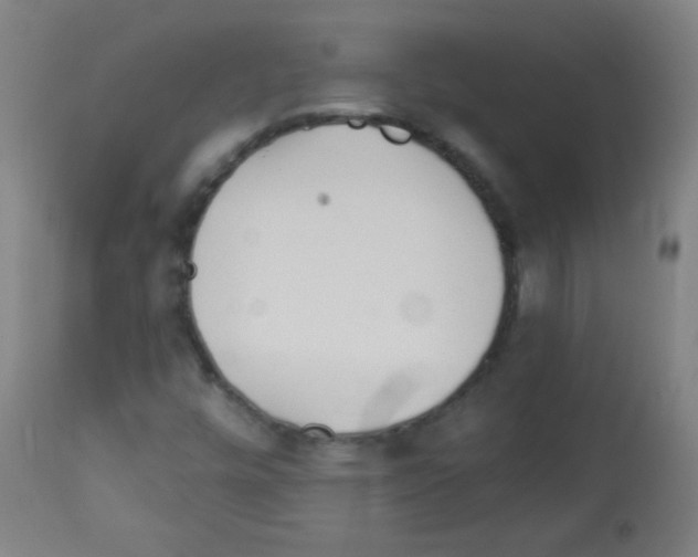 X0000112981448200910081059