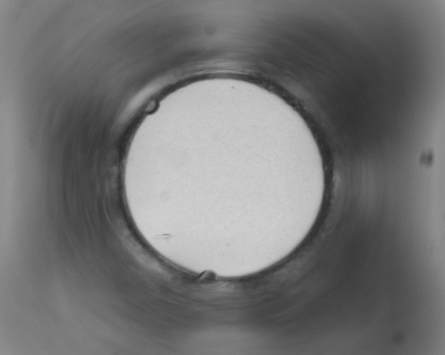 X0000112981450200910081059