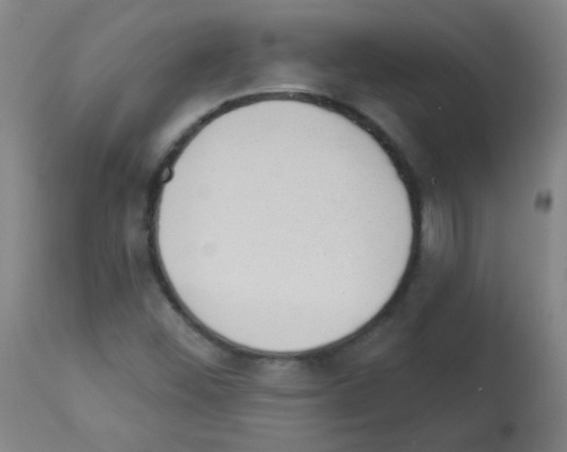 X0000112981452200910081059