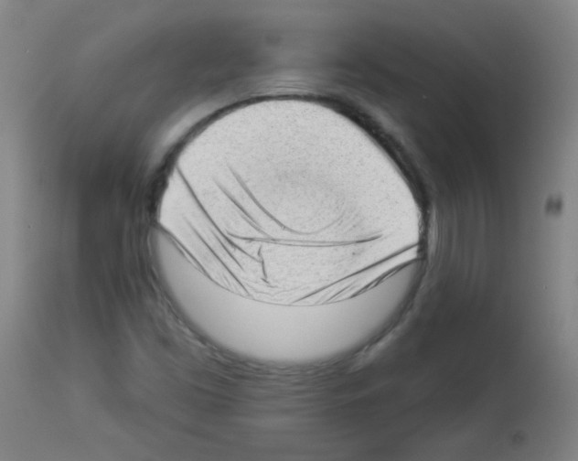 X0000112981453200910081059