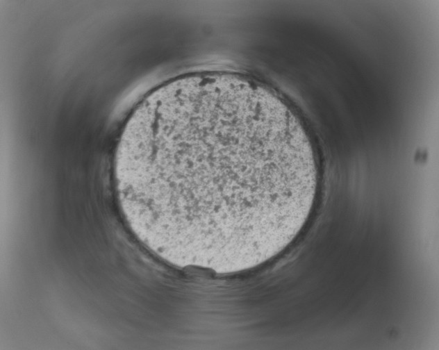 X0000112981455200910081059