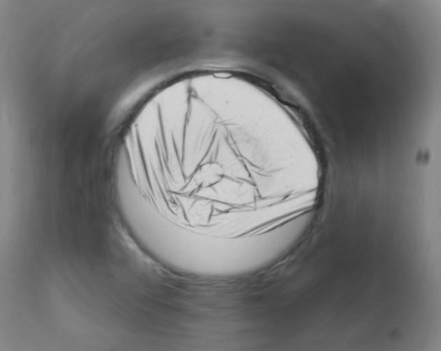 X0000112981456200910081059