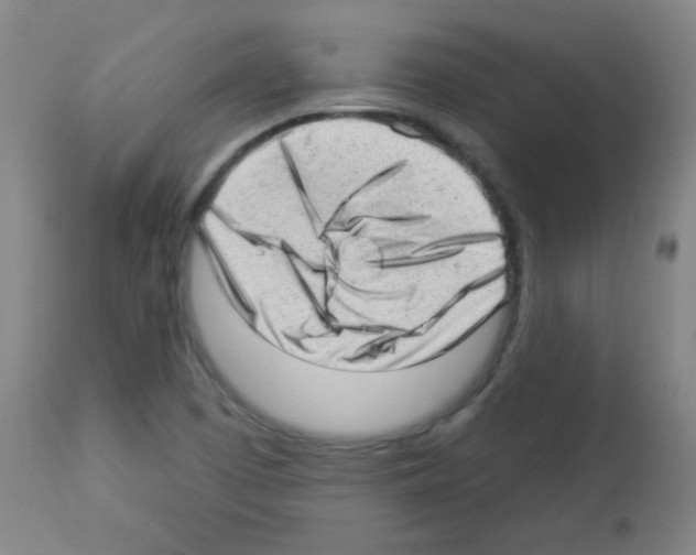 X0000112981457200910081059