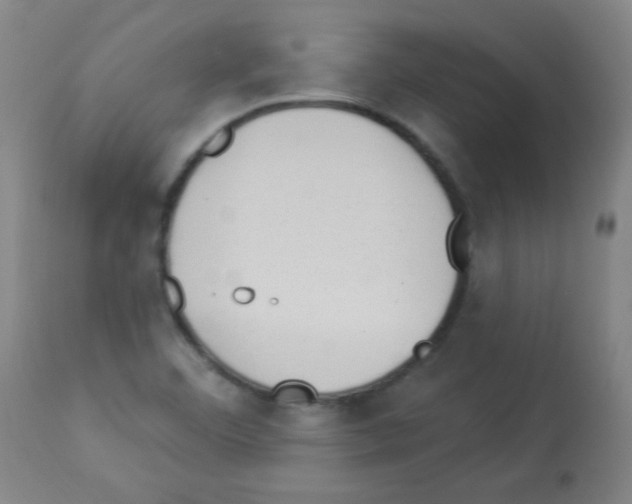 X0000112981460200910081058